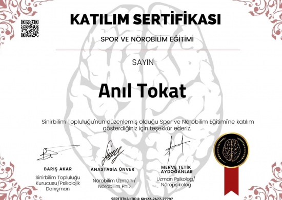 Psikoterapi Kaygı Stres Anksiyete Sertifikası